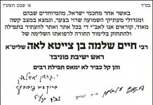 מכתב גדולי ישראל לתפילה על הגרחש לייבוביץ.jpg